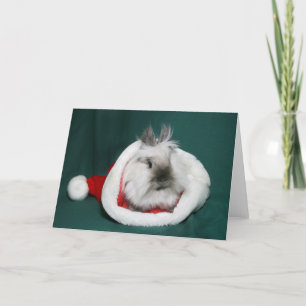 Lionhead Bunny Santa Helgkort