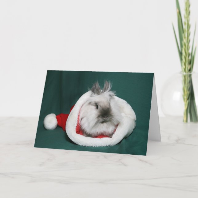 Lionhead Bunny Santa Helgkort (Framsida)