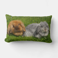 Lionhead Holland Mini Lop Bunny Rabbit