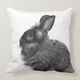 Lionhead kanin kudde