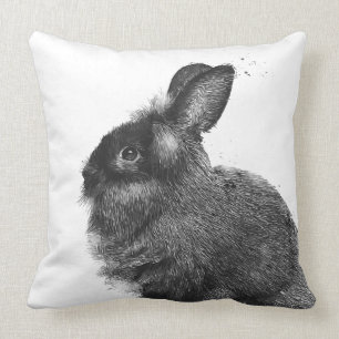 Lionhead kanin kudde