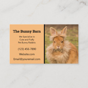 Lionhead Rabbit Breeder Affärskort Visitkort