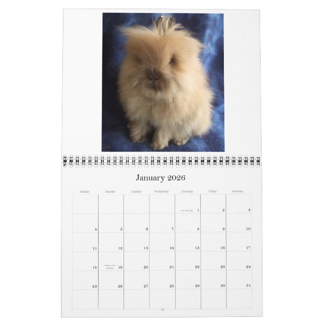 Lionhead Rabbits 2009-2010 Kalender (Jan 2026)