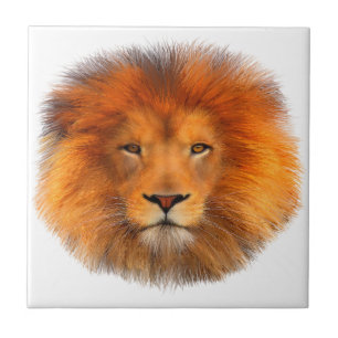 Lions Mane Kakelplatta