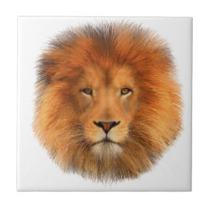 Lions Mane Kakelplatta