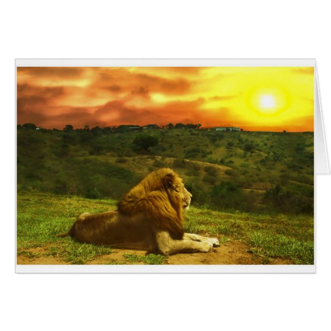 Lion'sen beskådar hälsningskort (Framsidan Horizontal)