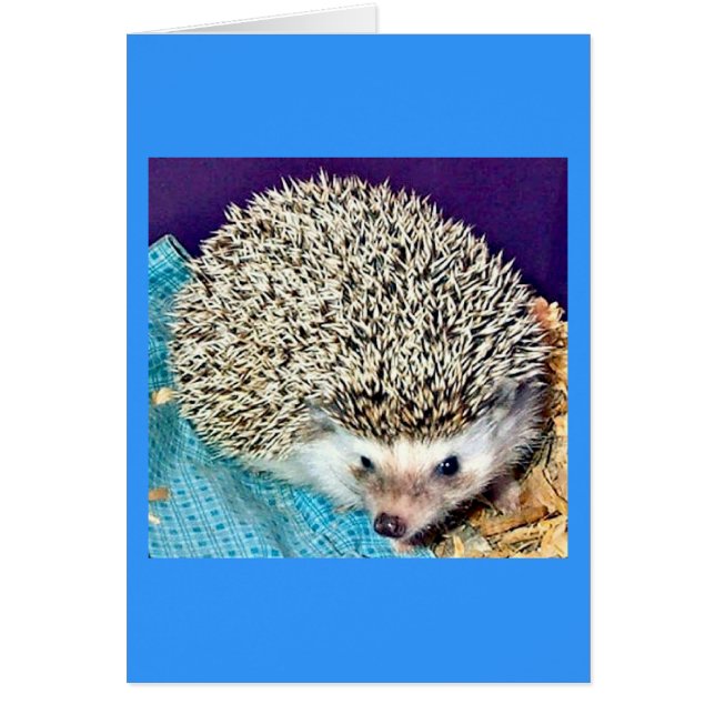 Lioti the hedgehog hälsningskort (Framsidan)