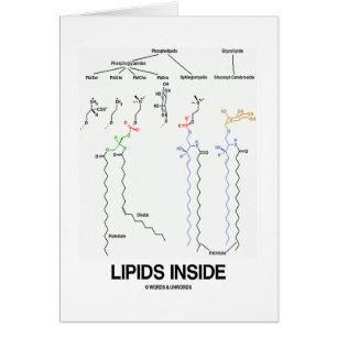 Lipidsinsida (kemiska molekylar) hälsningskort