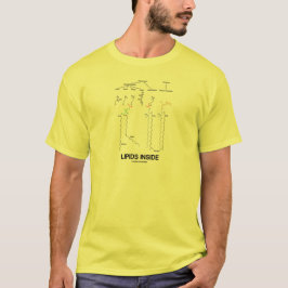Lipidsinsida (kemiska molekylar) tee