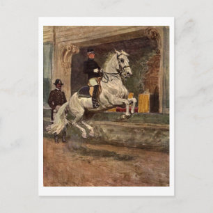 Lipizzan Dressage Vykort