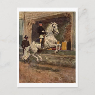 Lipizzan Dressage Vykort