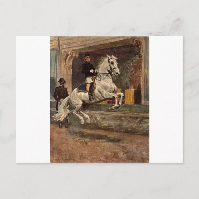 Lipizzan Stallion Dressage Vykort (Framsida)