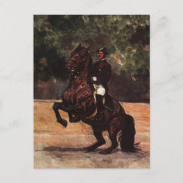 Lipizzan Stallion Dressage Vykort
