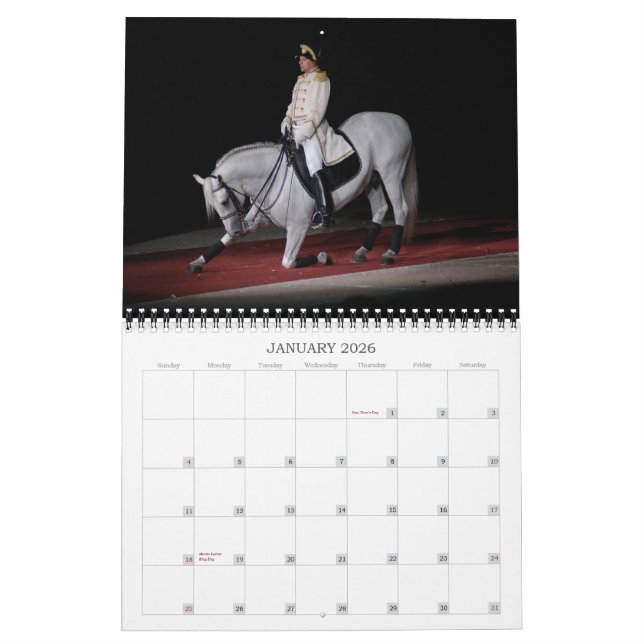 Lipizzaner hingstar kalender (Jan 2026)