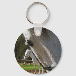 Lipizzanerhäst Nyckelring