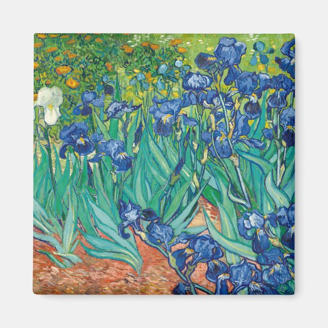 Lirios de Van Gogh Magnet (Framsidan)