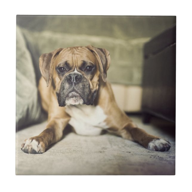 Lisma boxarevalpen kakelplatta (Framsidan)