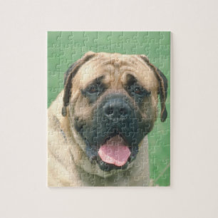 Lisma det Bullmastiff hundpussel Pussel