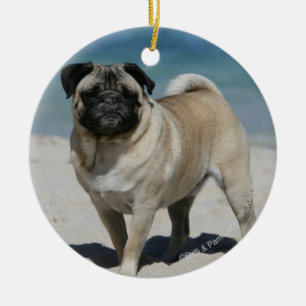Lisma mops på stranden julgransprydnad keramik
