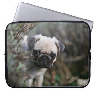Lisma mopsvalpheadshoten laptop fodral