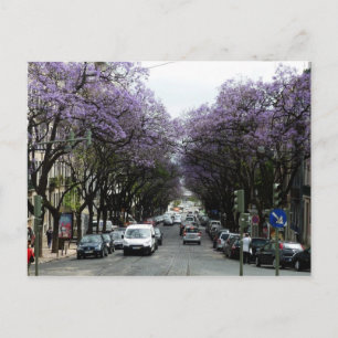 Lissabon Lila blommor Vykort