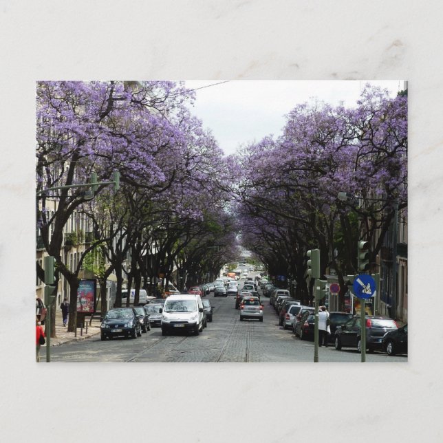 Lissabon Lila blommor Vykort (Framsida)