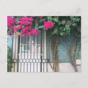 Lissabon Tiles & Flowers Bouganvillea Vykort