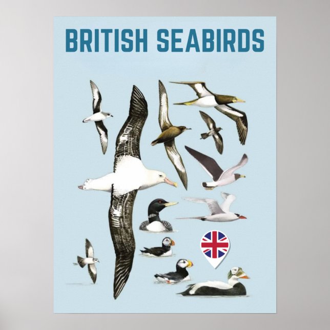 List of british seabirds united kingdoom birds poster (Framsidan)