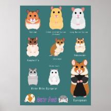 Lista över hamsterarter