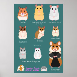 Lista över hamsterarter poster