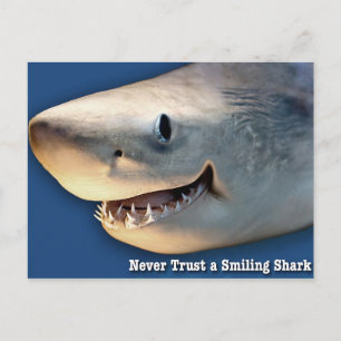 Lita aldrig på en leende Shark Vykort