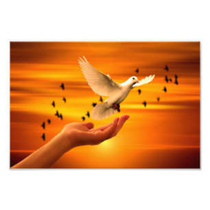 Lita på Gud med Dove i Hand Fototryck