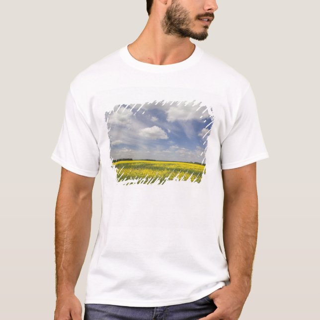 Litauen, Centrala Litauen, Joniskis, fält med T Shirt (Framsida)
