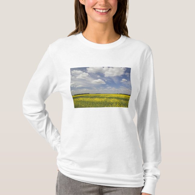 Litauen, Centrala Litauen, Joniskis, fält med T Shirt (Framsida)