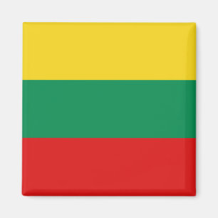 Litauen Flagga Magnet
