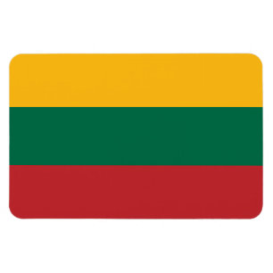 Litauen Flagga Magnet