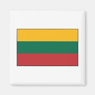 Litauen - litauisk flagga magnet