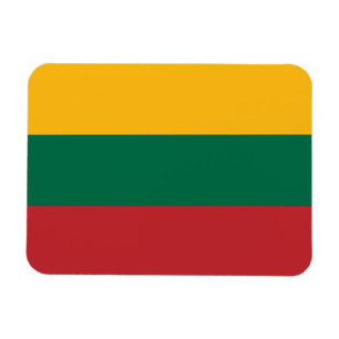 Litauens flagga magnet