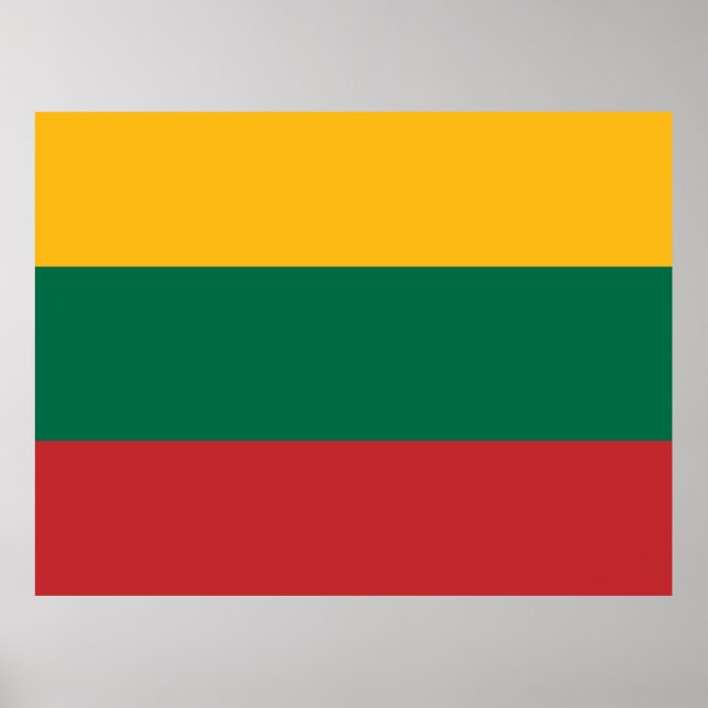 Litauens flagga poster (Framsidan)