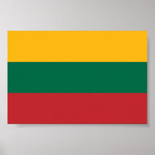 Litauens flagga poster