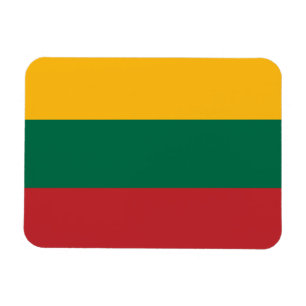 Litauisk flagga magnet