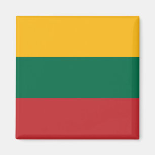 Litauiska Flagga Magnet