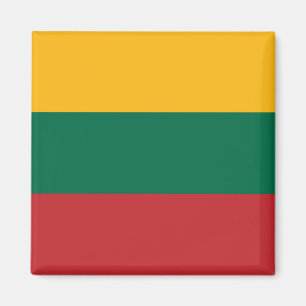 Litauiska flaggan magnet