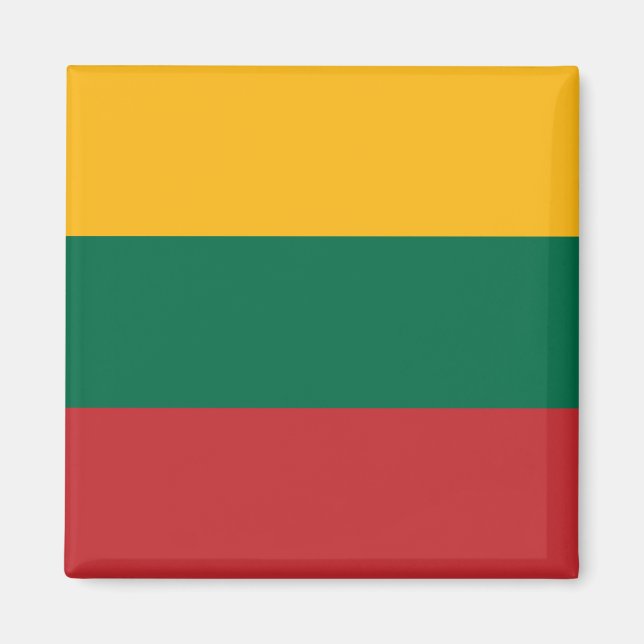 Litauiska flaggan magnet (Framsidan)