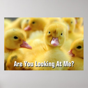 Lite ankor poster