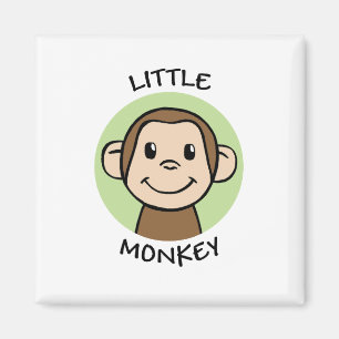 Lite apa magnet