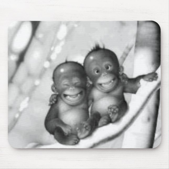 Lite apor musmatta (Framsidan)