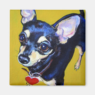 Lite Bitty Chihuahua - svart- och Magnet