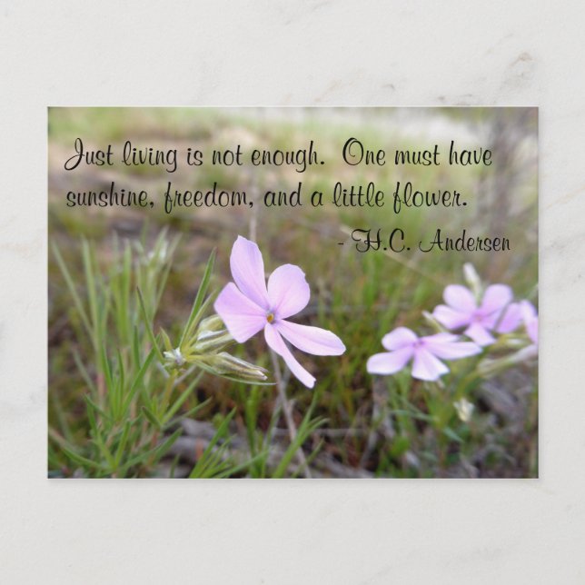 Lite blomma vykort (Framsida)