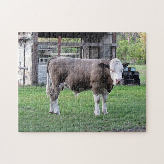 Lite Bull - Farm Life Puzzle Pussel (Horisontell)